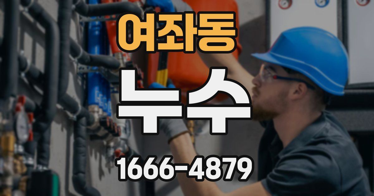 여좌동 누수