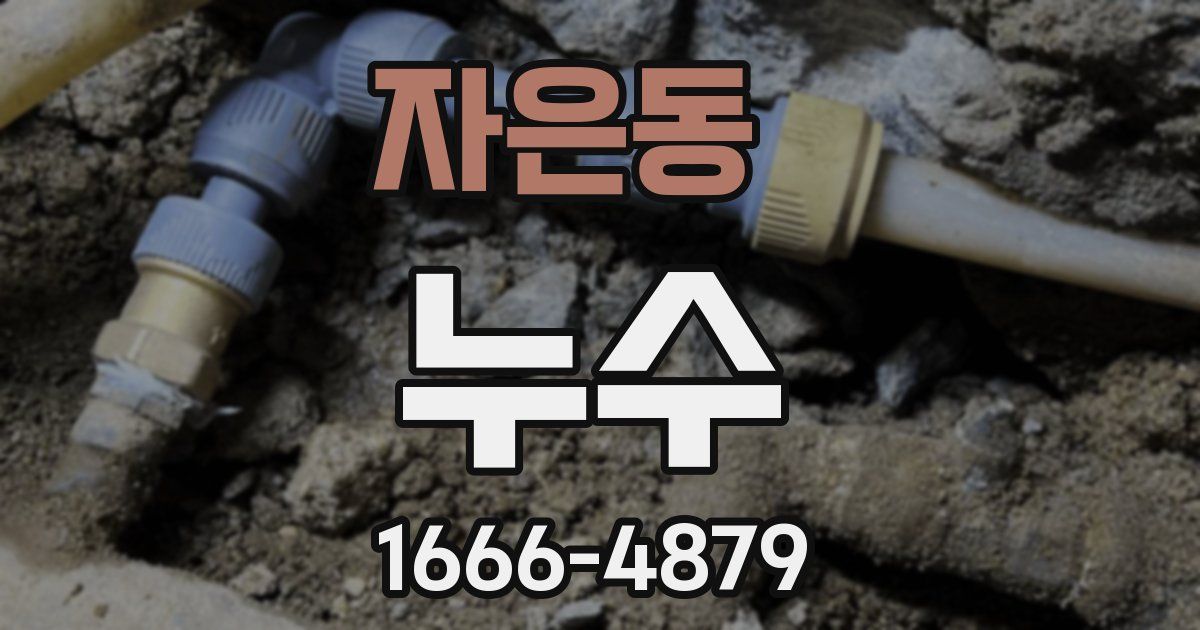 자은동 누수