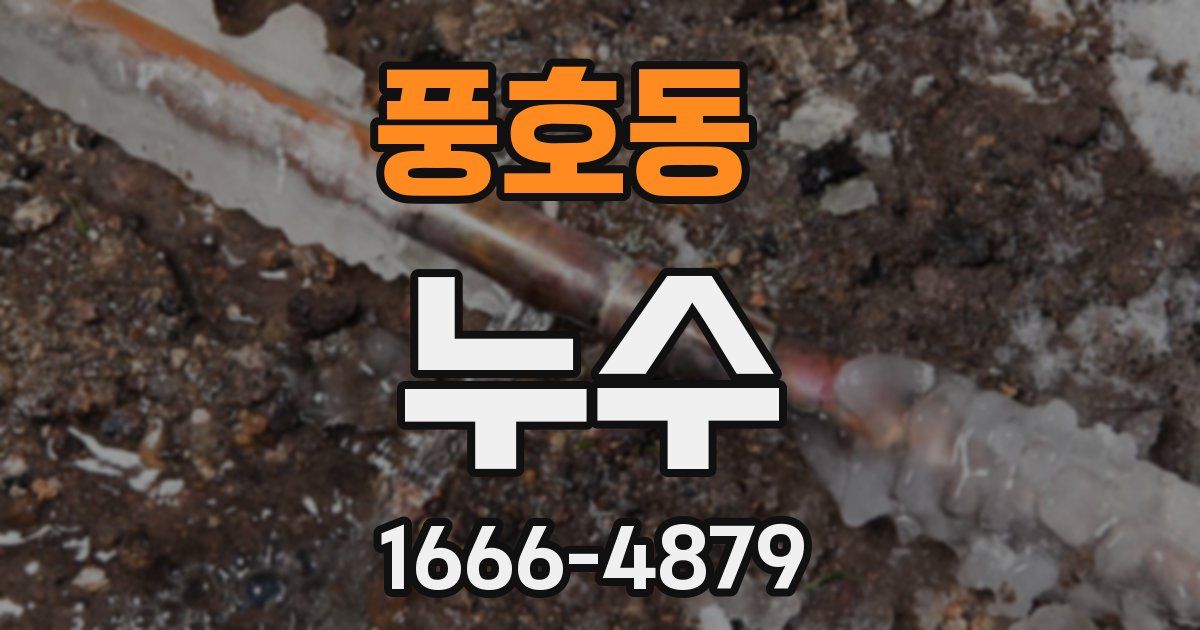 풍호동 누수