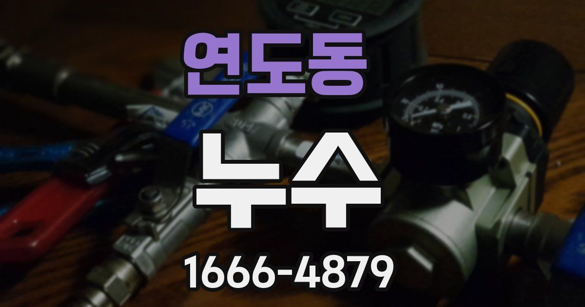 연도동 누수