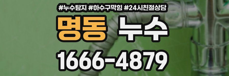 명동 누수