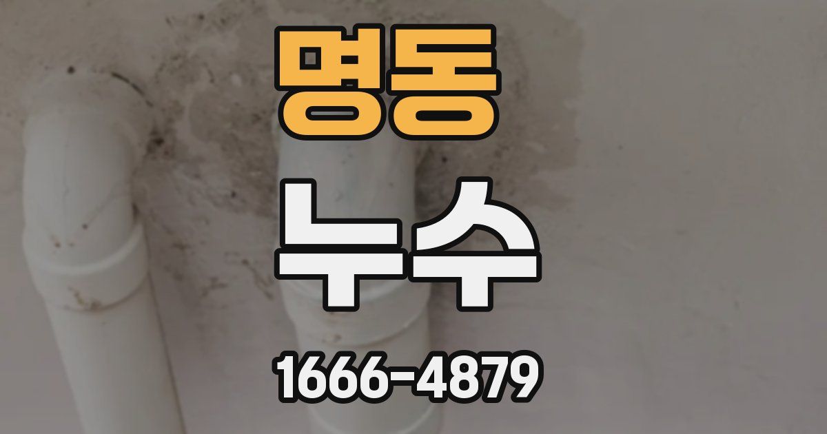 명동 누수