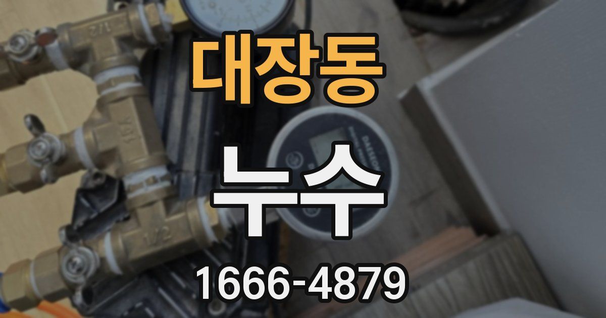 대장동 누수