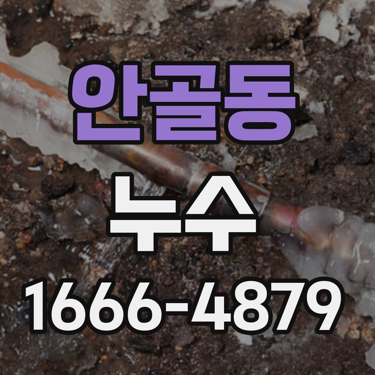 안골동 누수