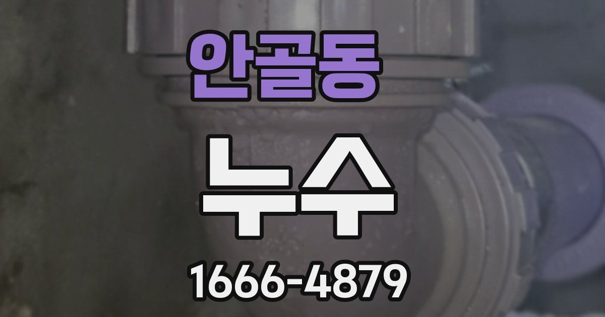 안골동 누수