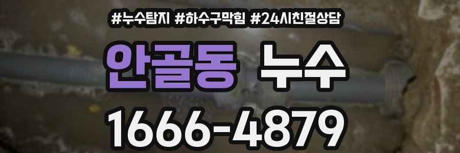 안골동 누수