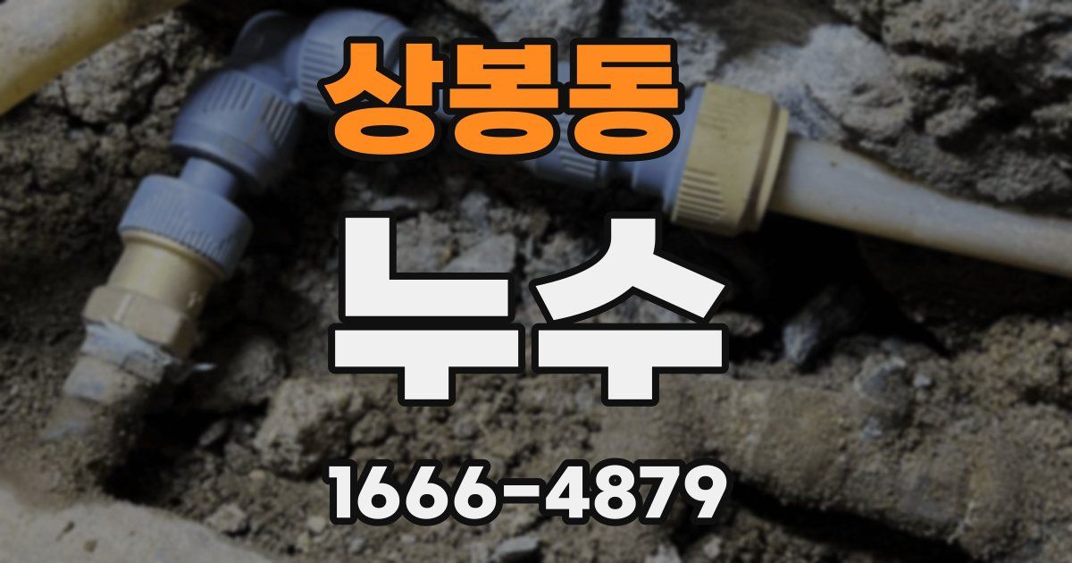 상봉동 누수