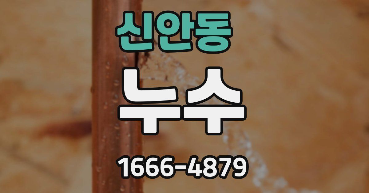 신안동 누수