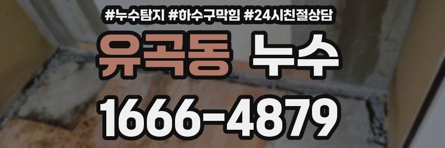 유곡동 누수