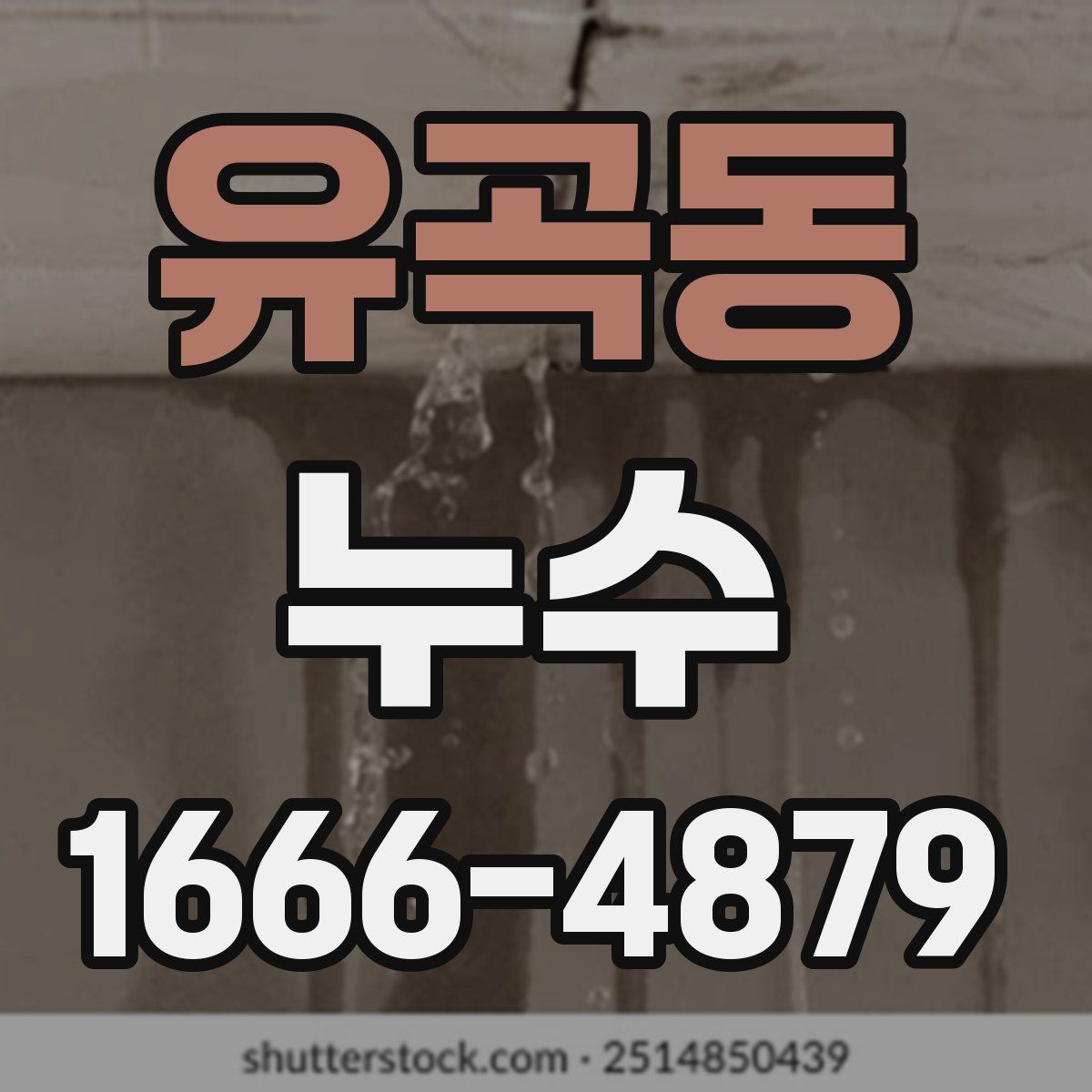 유곡동 누수