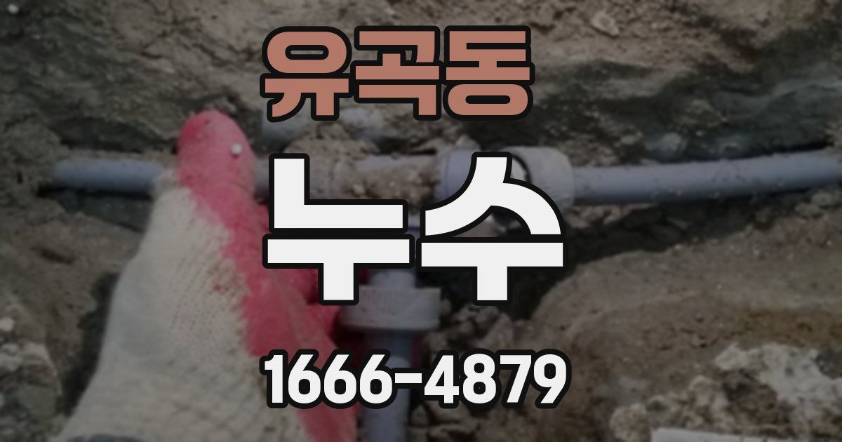 유곡동 누수