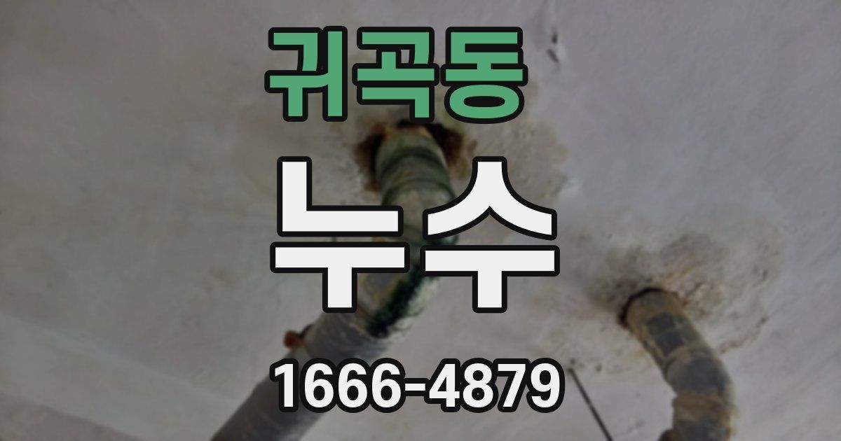 귀곡동 누수