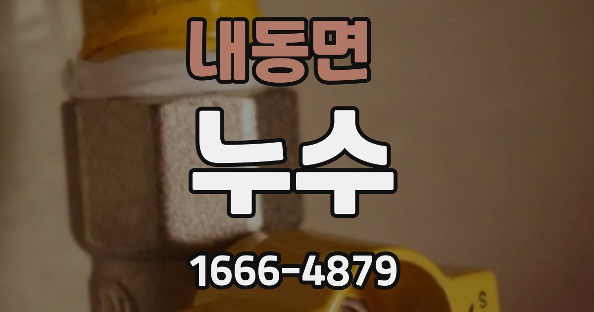 내동면 누수