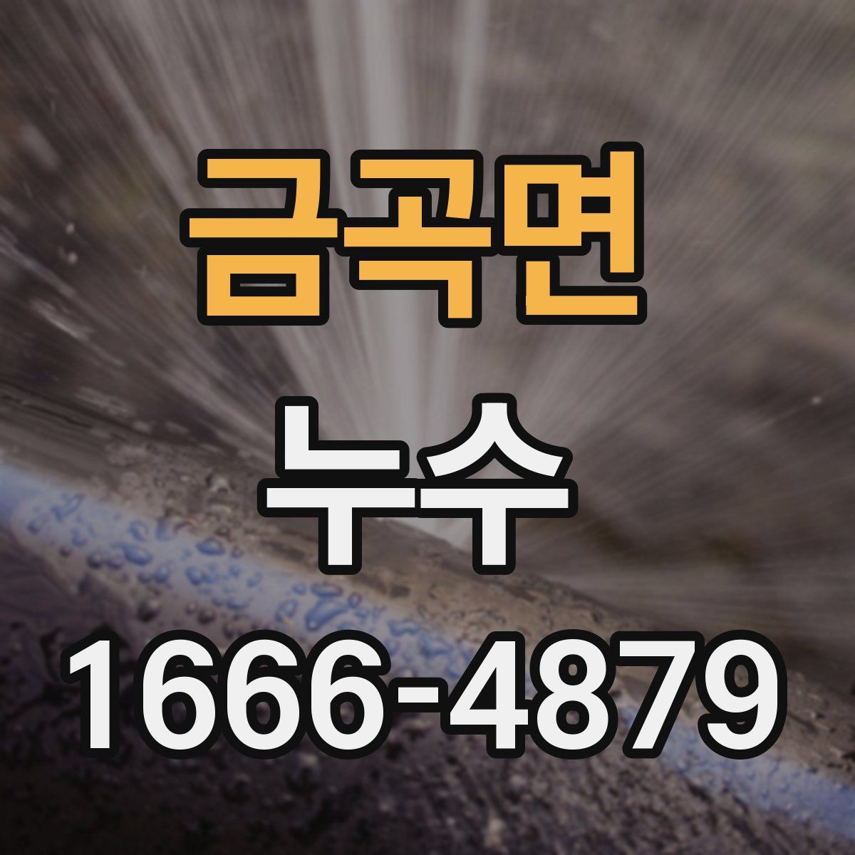 금곡면 누수