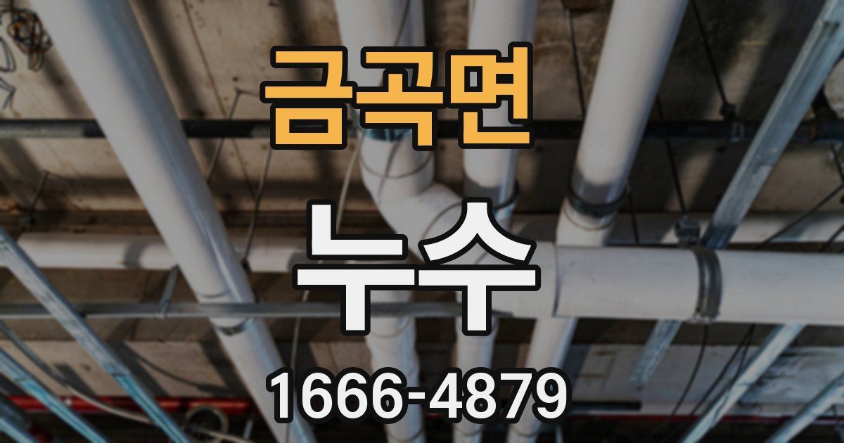 금곡면 누수
