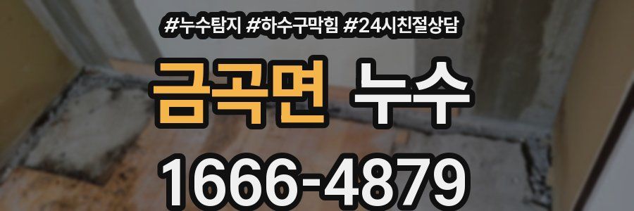 금곡면 누수