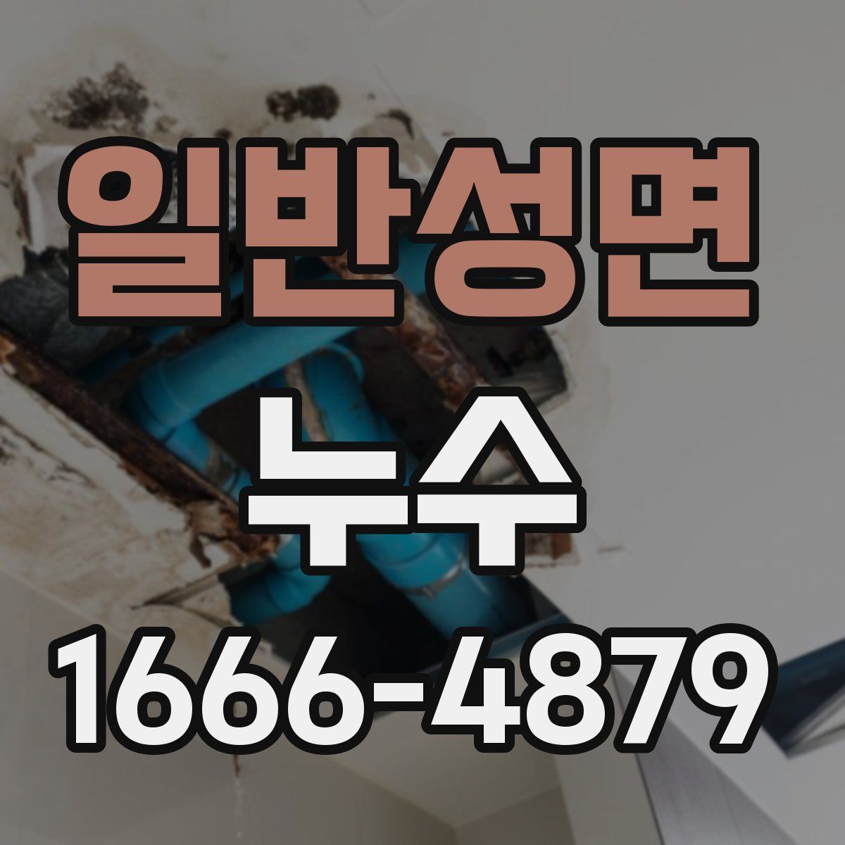 일반성면 누수