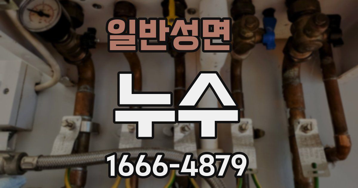 일반성면 누수