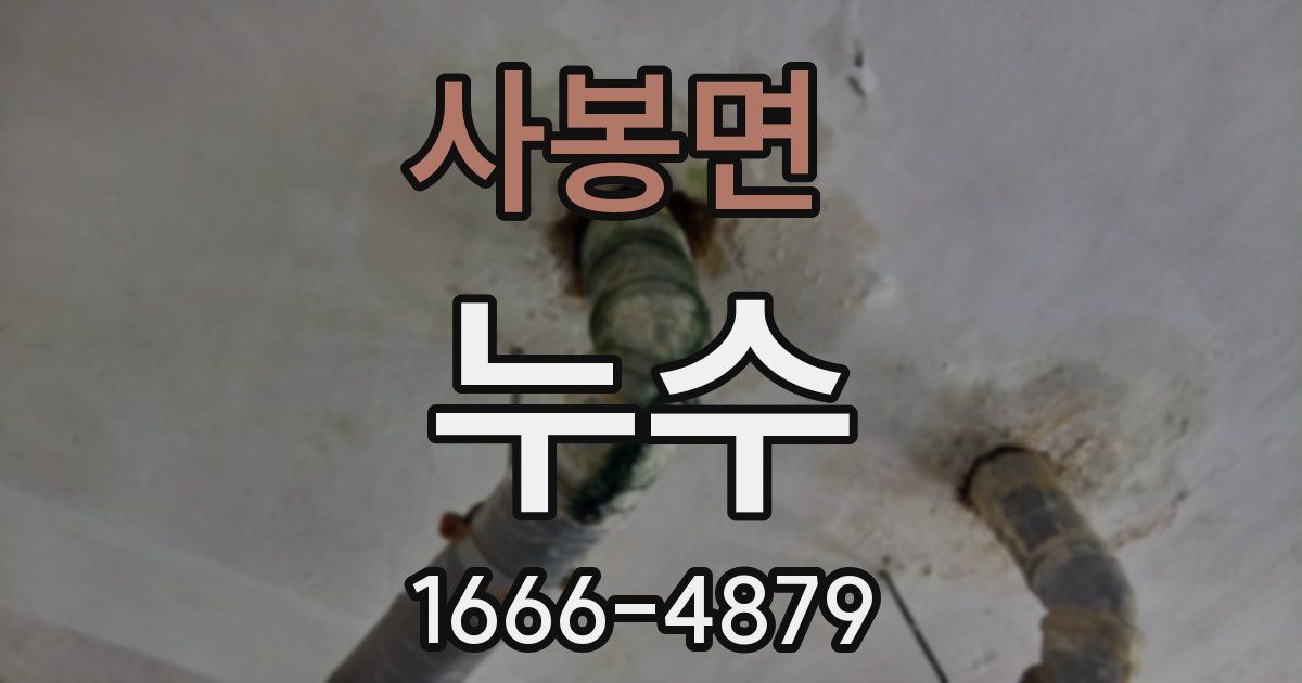 사봉면 누수