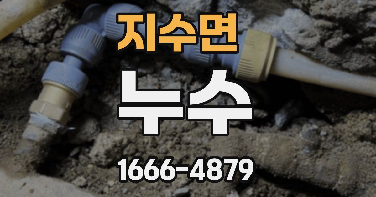 지수면 누수