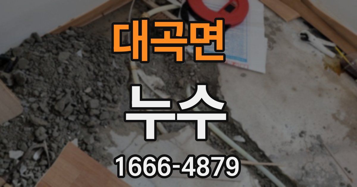 대곡면 누수