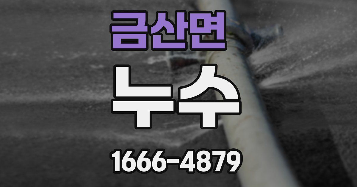 금산면 누수