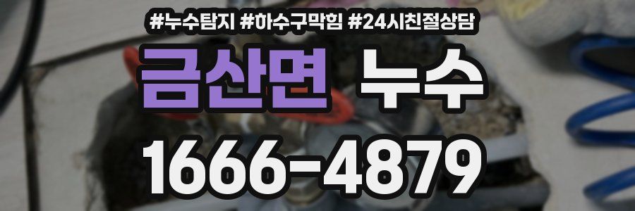 금산면 누수