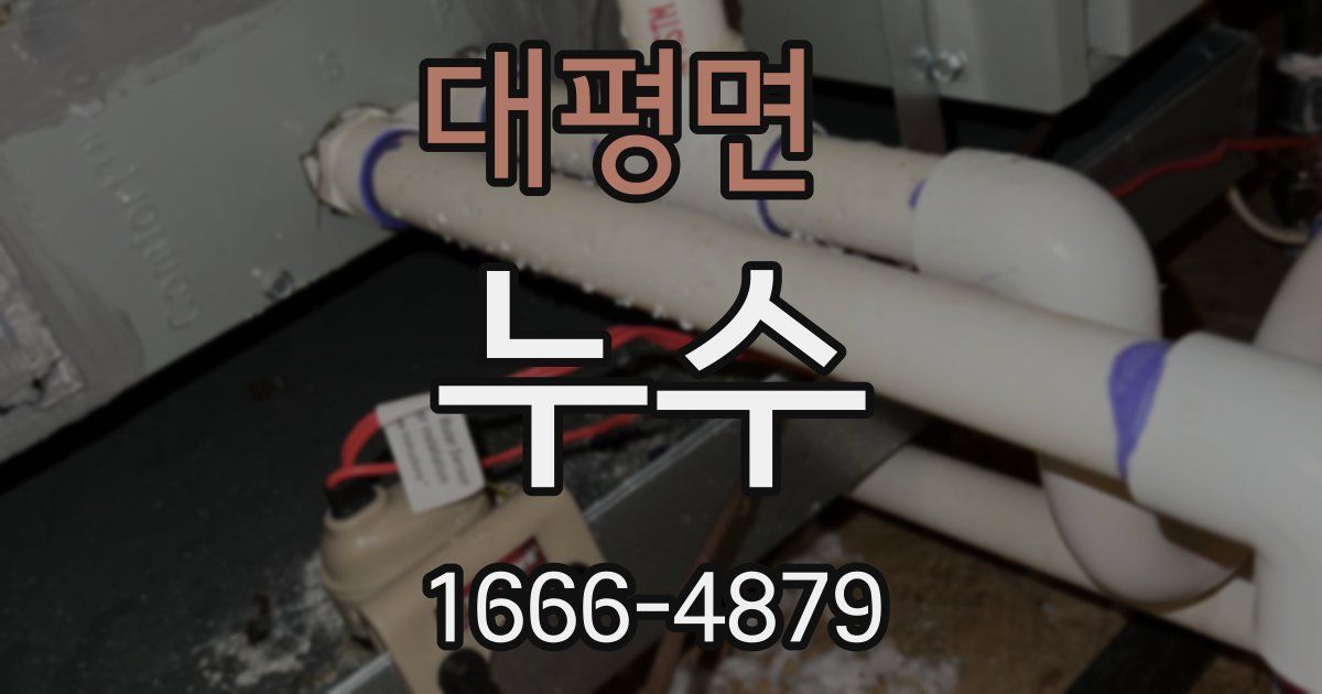 대평면 누수