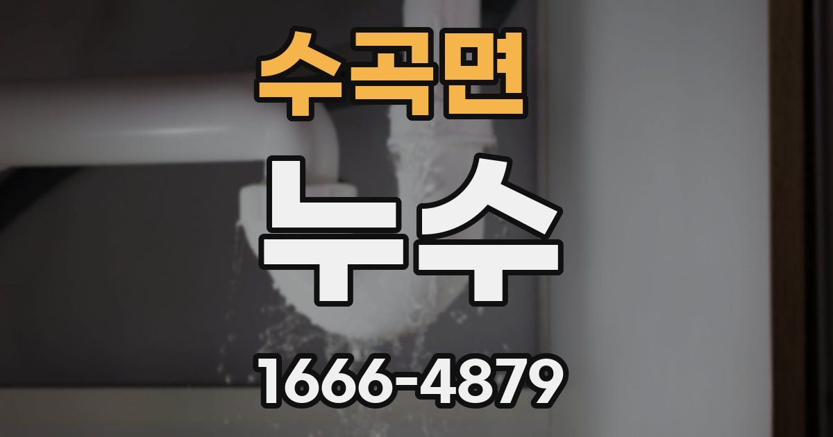 수곡면 누수