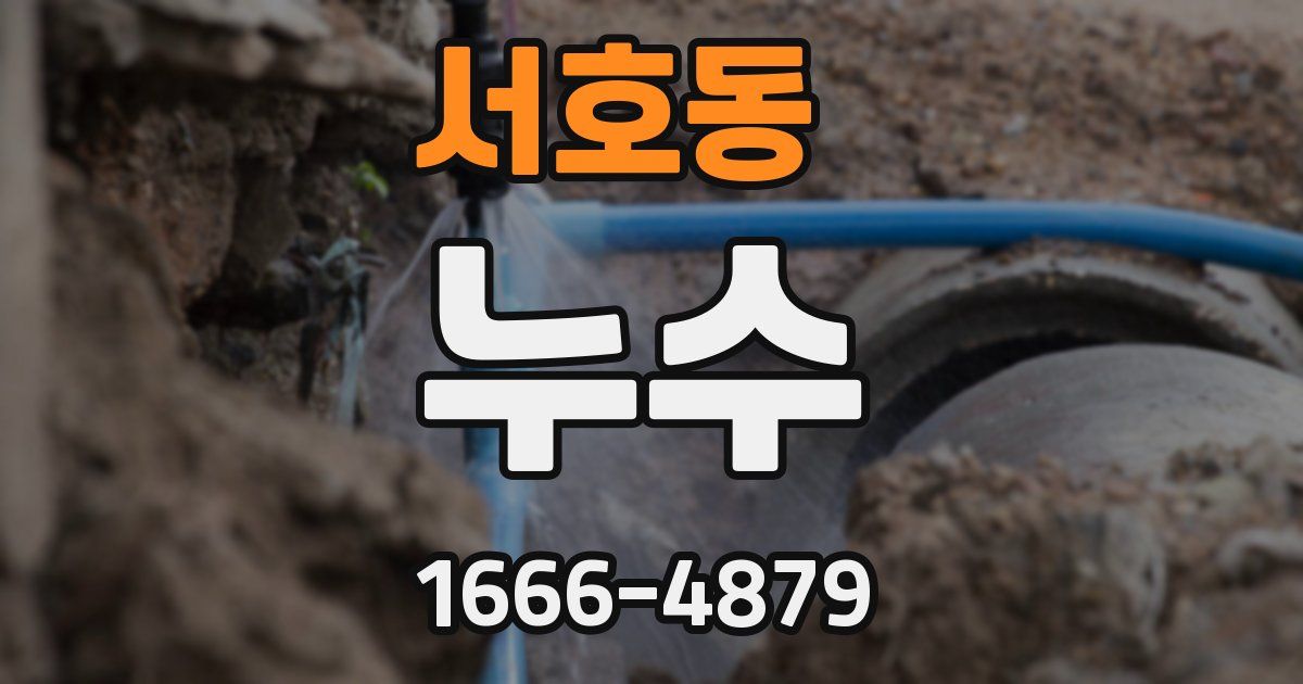 서호동 누수
