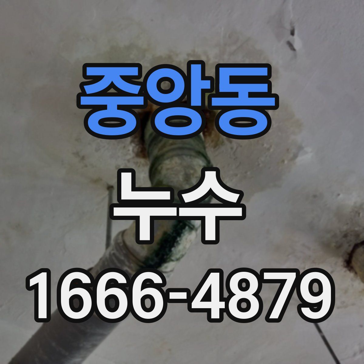 중앙동 누수