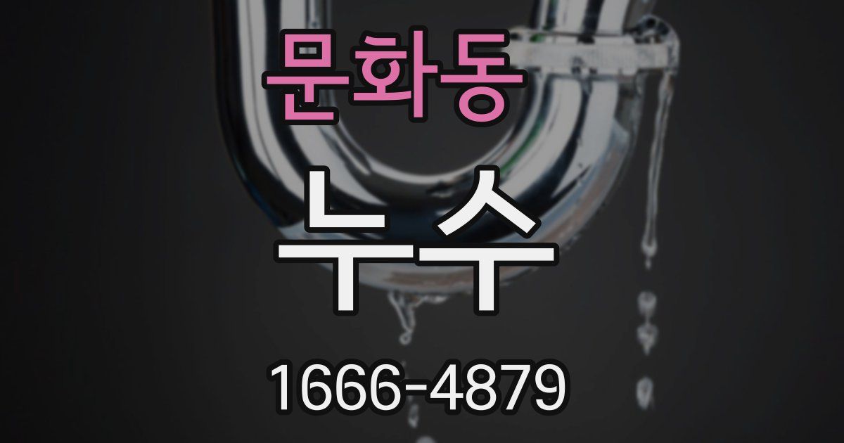 문화동 누수