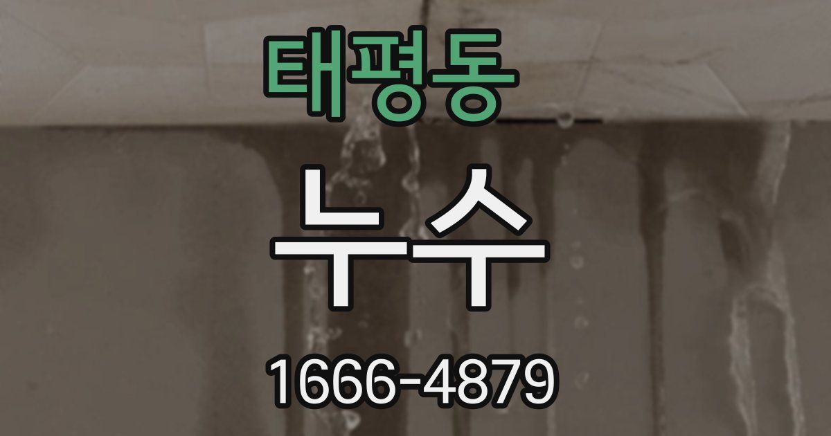 태평동 누수