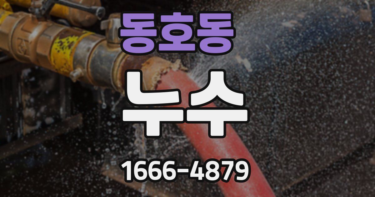 동호동 누수