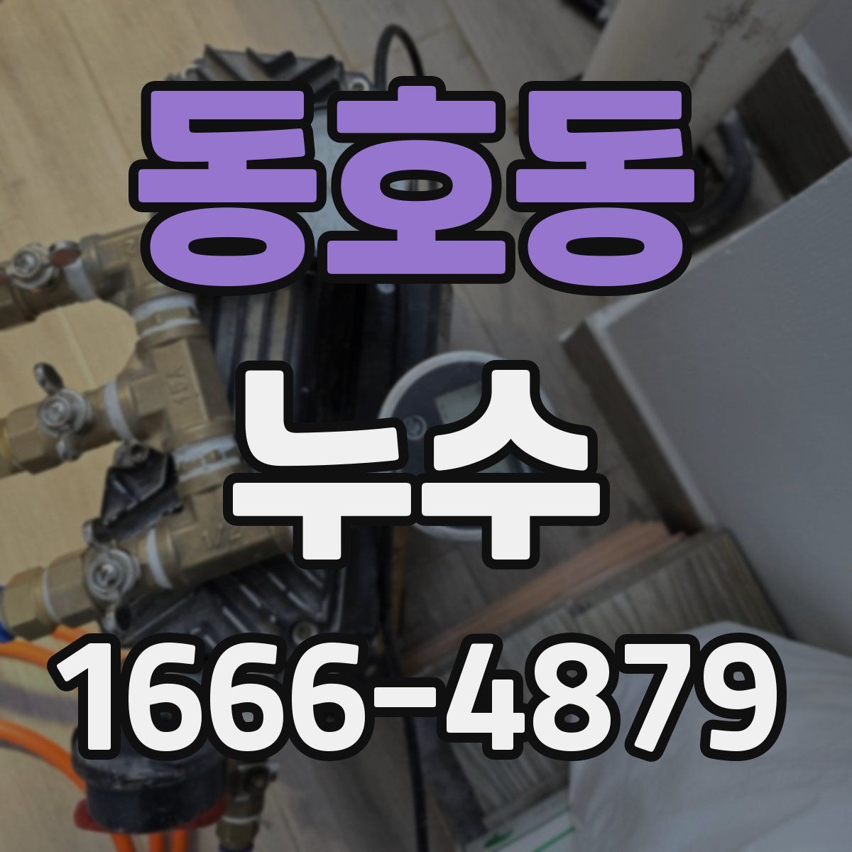 동호동 누수