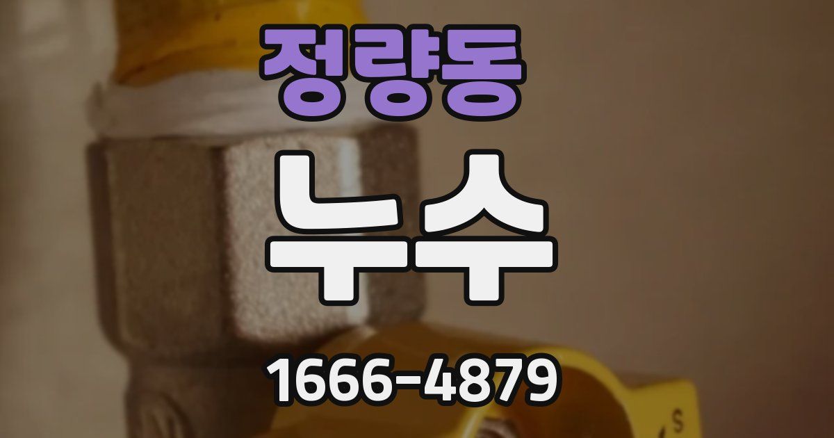 정량동 누수
