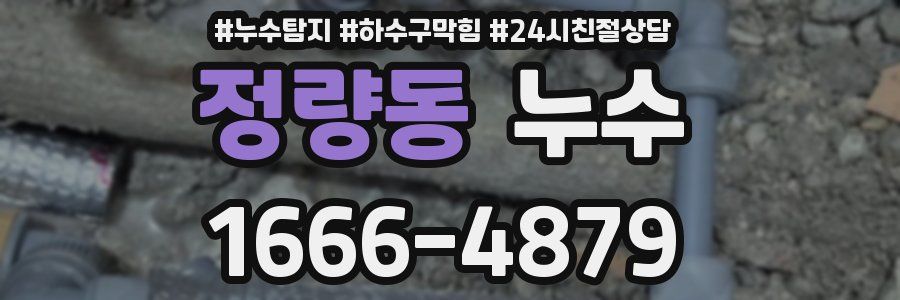 정량동 누수