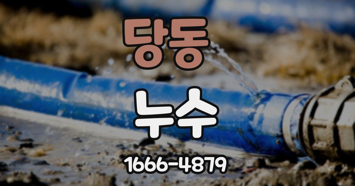 당동 누수