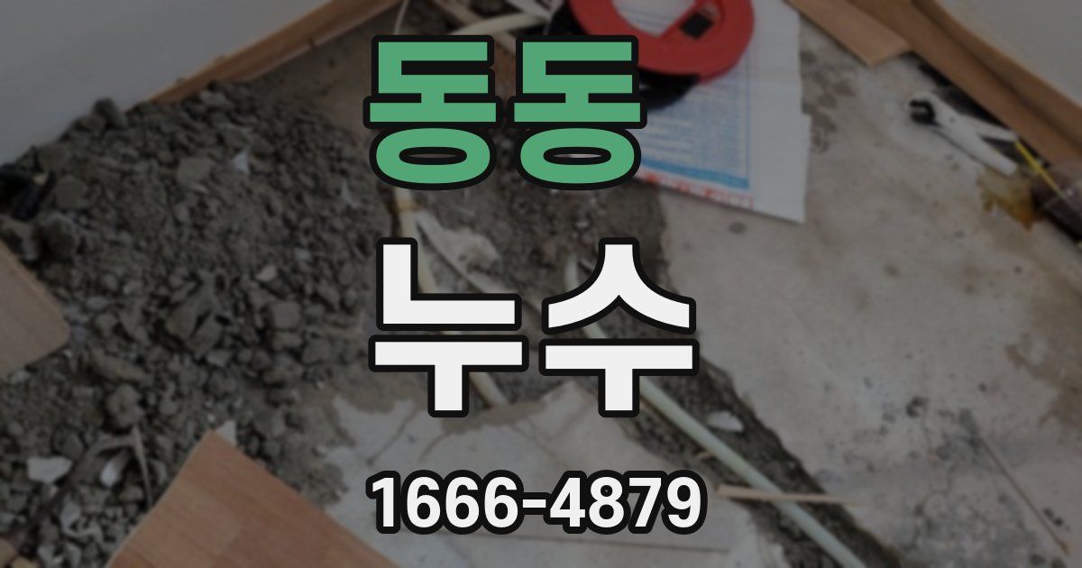 동동 누수