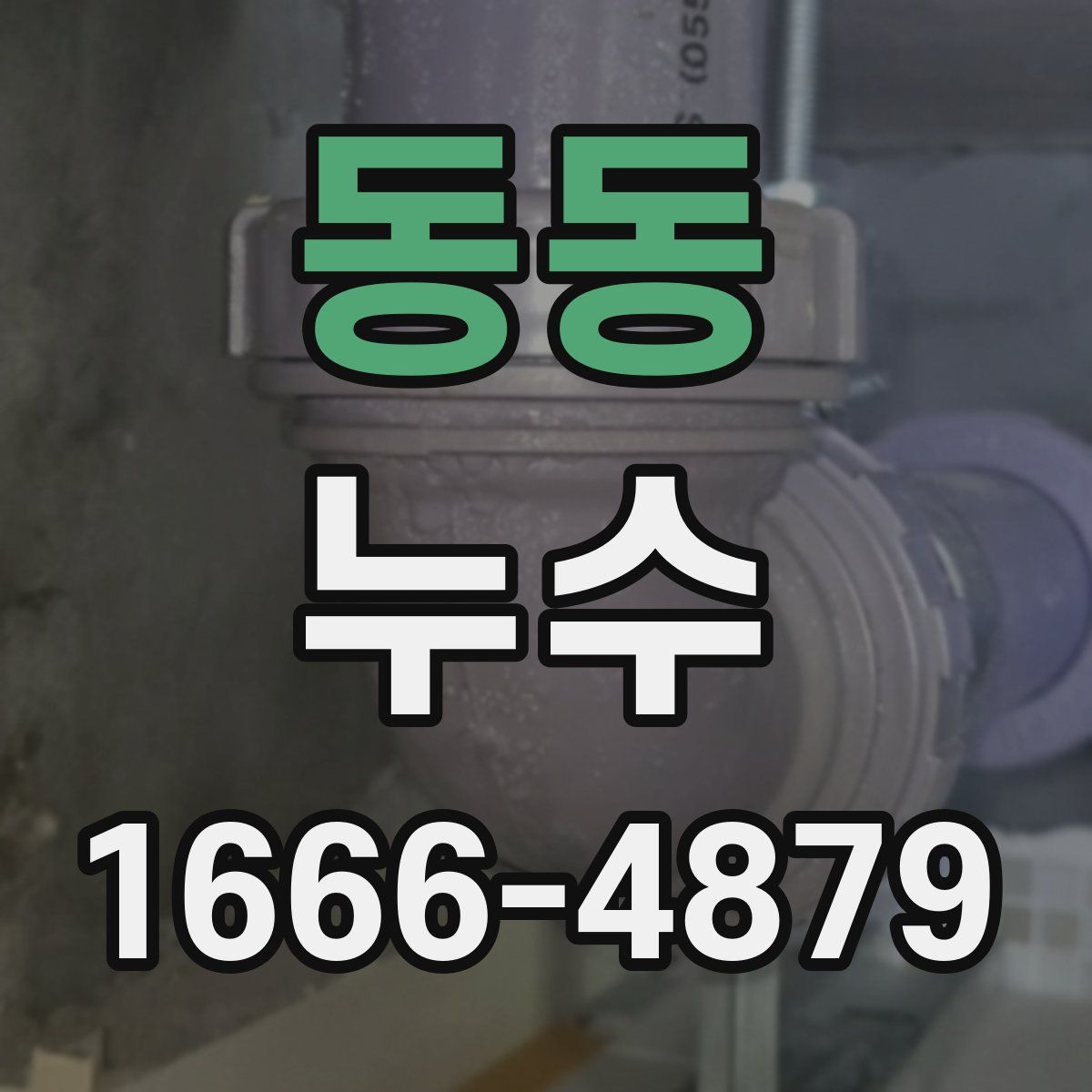 동동 누수