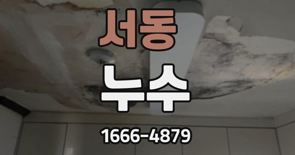 서동 누수