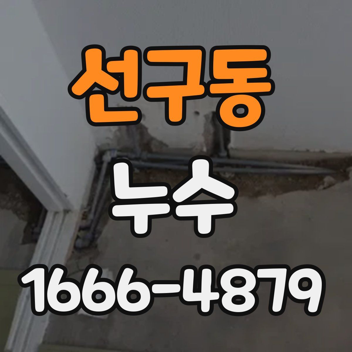 선구동 누수