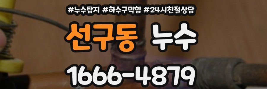 선구동 누수
