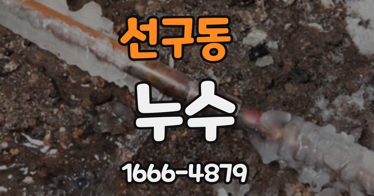 선구동 누수