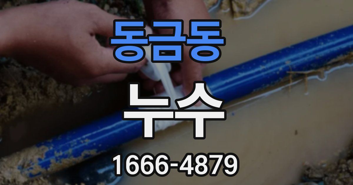 동금동 누수