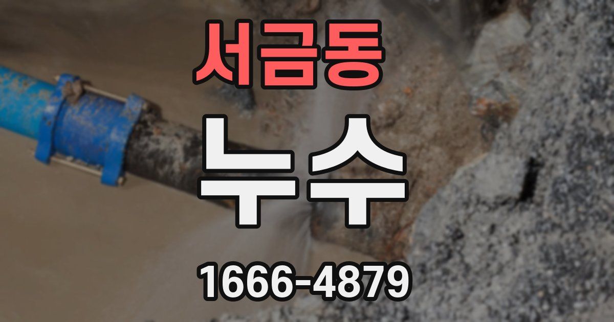 서금동 누수