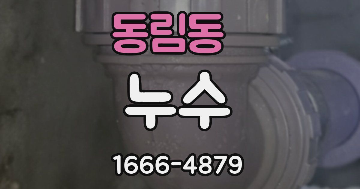 동림동 누수