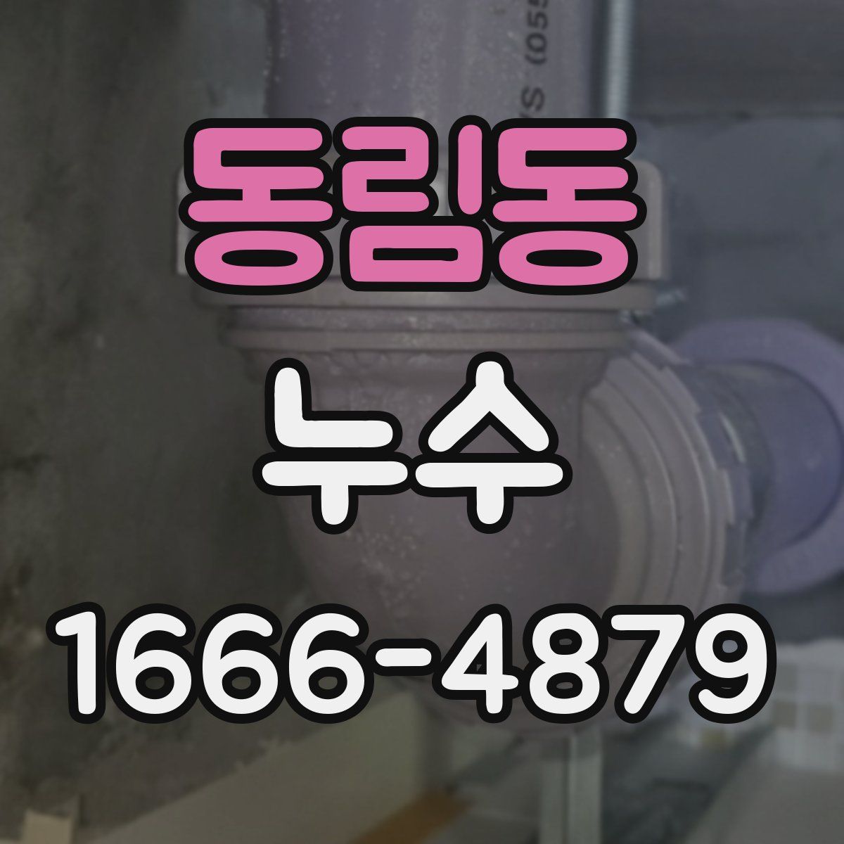 동림동 누수