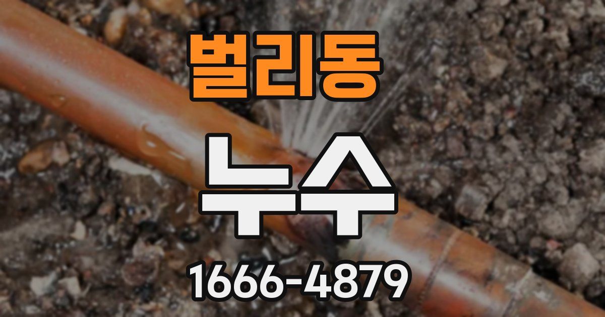 벌리동 누수
