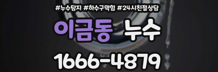 이금동 누수